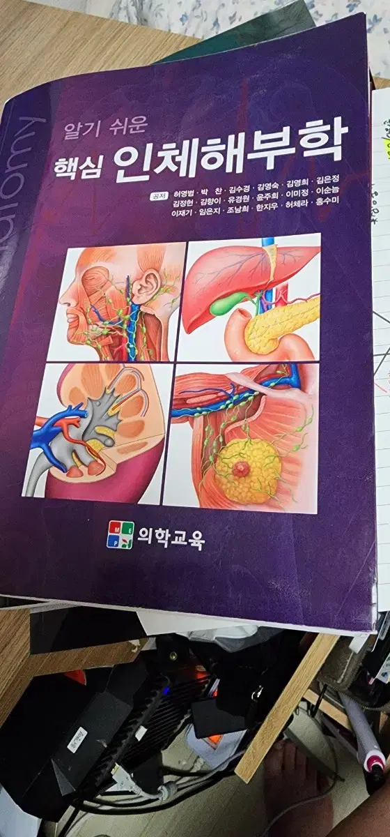 알기 쉬운 핵심 인체해부학